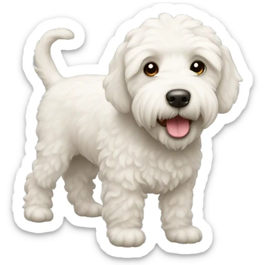 white labradoodle sticker