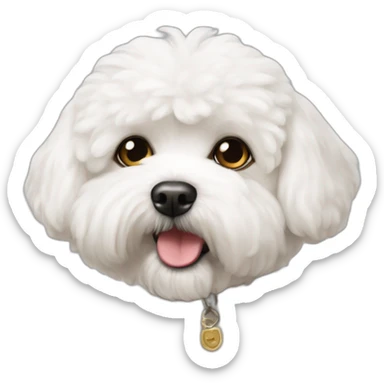 Bichon maltais sticker