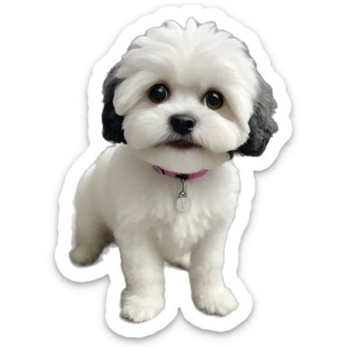 Black and white shipoo sticker