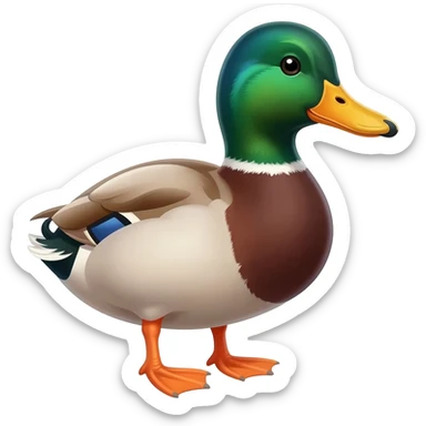 male duck sticker