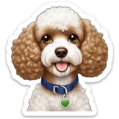 Brown toy poodle with teddy bear haircut wearing dark blue harness and all white Maltese wearing dark green harness sticker