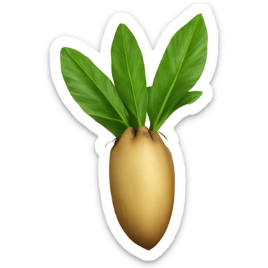 Semoule de manioc  sticker