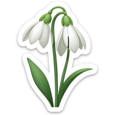 snowdrop flower sticker