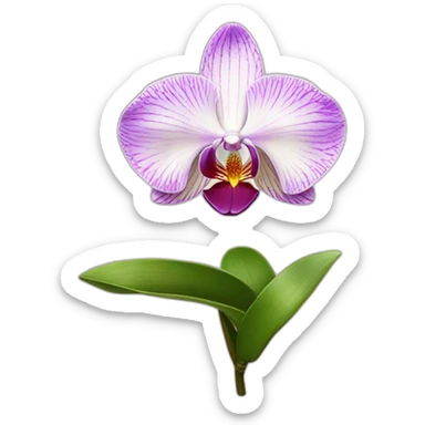 Orchidea flor sticker