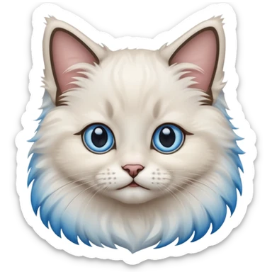 ragdoll kitten sticker