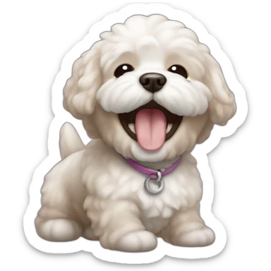 dog bichon light brown laughing sticker