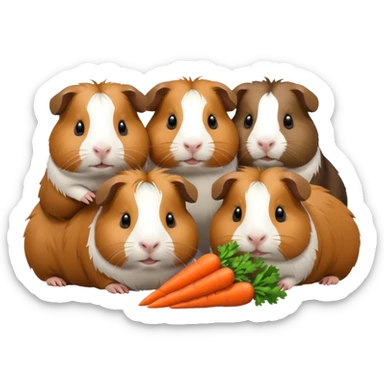 6 guinea pigs  sticker