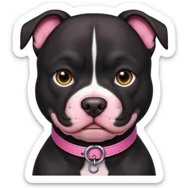 Black pitbull pink collar  sticker