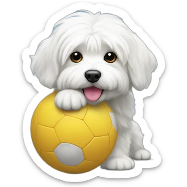 coton de tulear with a ball sticker