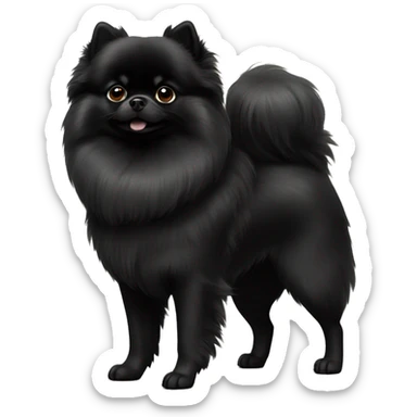 Solid black Pomeranian standing proudly  sticker