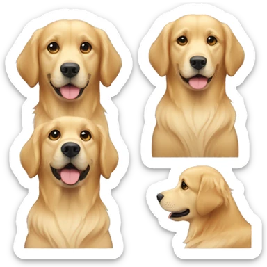 Golden retriver sticker