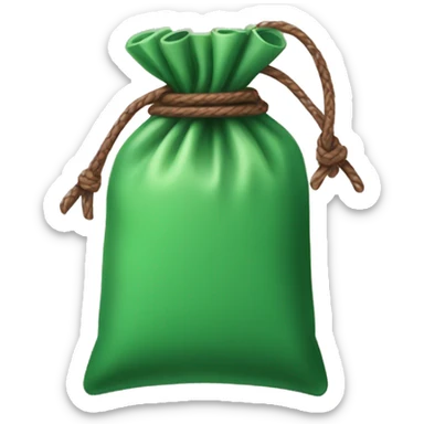 hand holding up a green pouch that is tied with brown string sticker