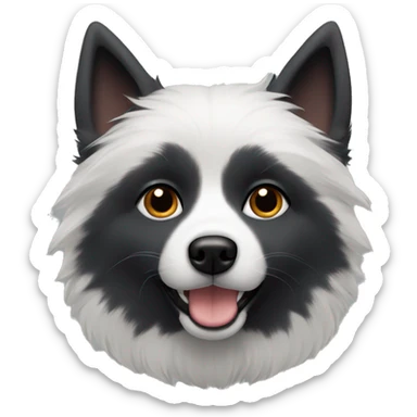 Dark Grey and black American Eskimo dog with folded ears sticker
