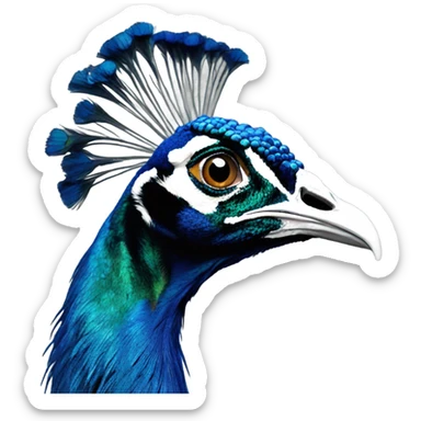 MSNBC peacock logo dying  sticker