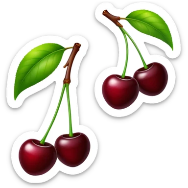 Pair of dark burgundy cherries with green stem, deep rich red color sticker
