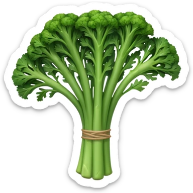 a long slender bunch of green broccolini sticker