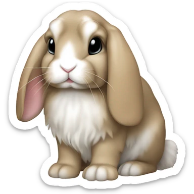rabbit mini lop sticker