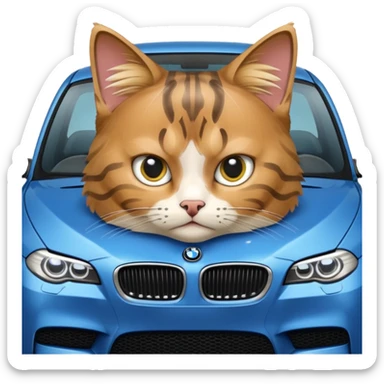 kedi bir bmw m5 kullanıyor sticker