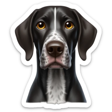 Black German Shorthaired Pointer sticker