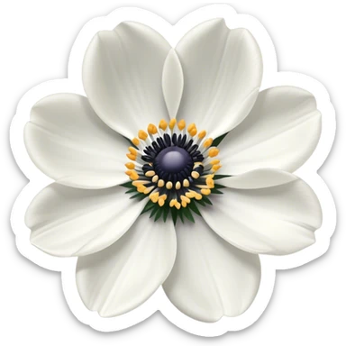Anemone Flower  sticker