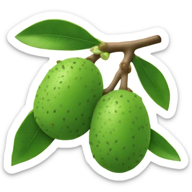 Feijoa sticker