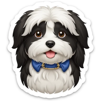 havanese female dog black and white sticker