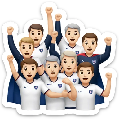 Bolton wanderers sticker