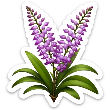 super big bouquet Rhynchostylis Orchid, stem, leaf sticker