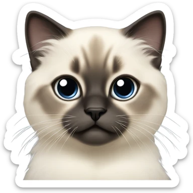 a birman kitten, small face, some spots of dark on the ears and middle of the face, laying on a shoulder sticker