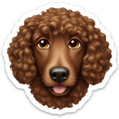 Brown dog curly  sticker