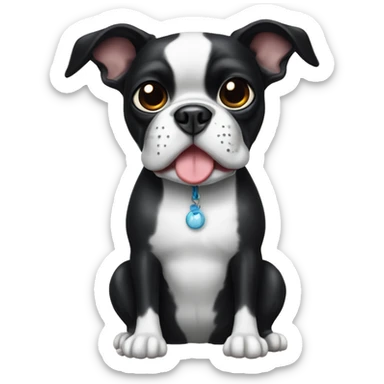 Black and white Boston terrier with dark eyes holding toy sticker