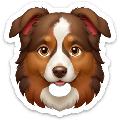 A tri color Australian shepherd with a chocolate brown base coat, red/gold fur on his eyebrows and snout/cheeks, a white chest, and gold eyes sticker