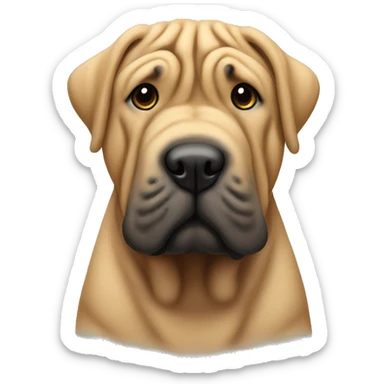 Shar pei  sticker