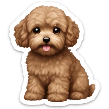 maltipoo brown sticker