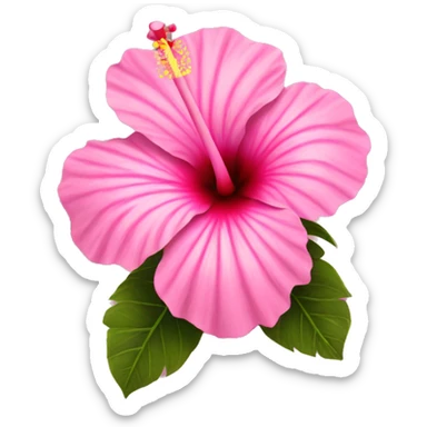 hibiscus flower pink sticker