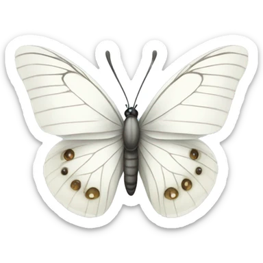 White butterfly  sticker