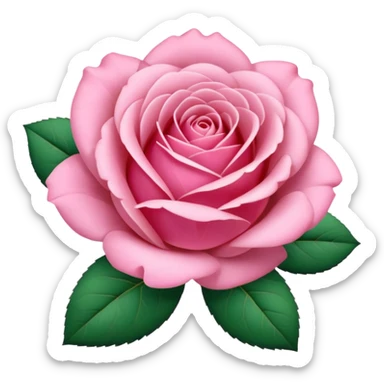 Coquette pink rose sticker