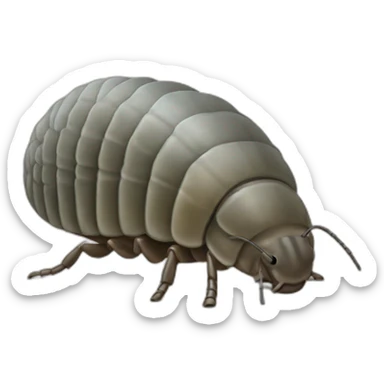 woodlice sticker