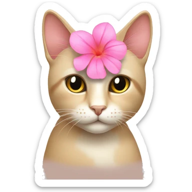 beige cat with a pink flower sticker