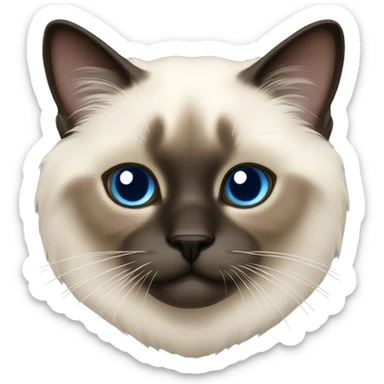 Birman cat sticker
