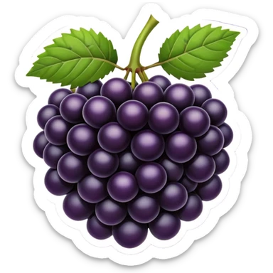 Blackberry fruit sticker