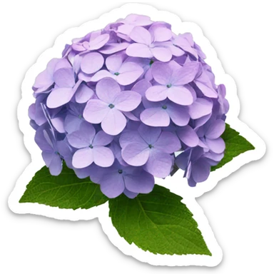 hydrangea sticker