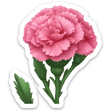Pink carnations  sticker