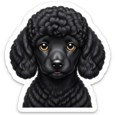 Cinematic Noble Black Poodle Portrait Emoji, Poised and regal, with a refined, elegant build and a meticulously groomed, curly jet-black Fur, deep-set soulful dark eyes, Simplified yet sharp and sophisticated features, highly detailed, glowing with a soft, dignified glow, high shine, intelligent and graceful, stylized with an air of sophistication, focused and attentive, soft glowing outline, capturing the essence of a watchful and confident companion, so majestic it feels as though it could prance out of the screen with effortless authority! sticker