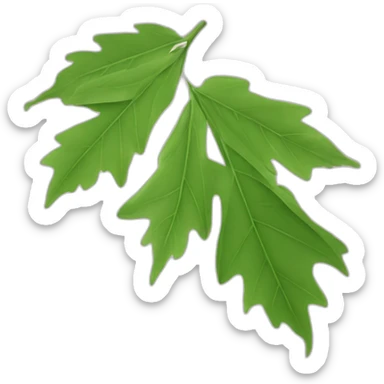 Une feuille d’érable japonais verte sticker