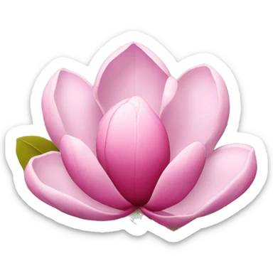 pink magnolia sticker