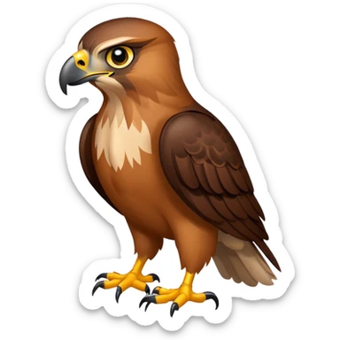 Hawk chuoa sticker