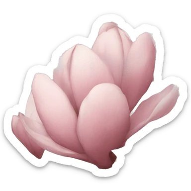 Dusty pink magnolia flowers  sticker