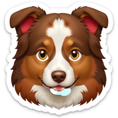 A tri color Australian shepherd with a chocolate brown base coat, red/gold fur on his eyebrows and snout/cheeks, a white chest, and gold eyes. No white fur on his face, only brown and gold. sticker