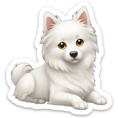 Hund japanspitz weiß mit katze daneben liegen sticker
